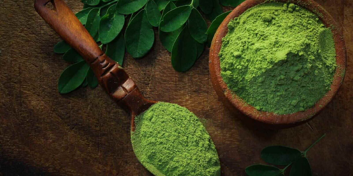 Moringa Powder Benefits for Females: A Natural Superfood for Women's Health