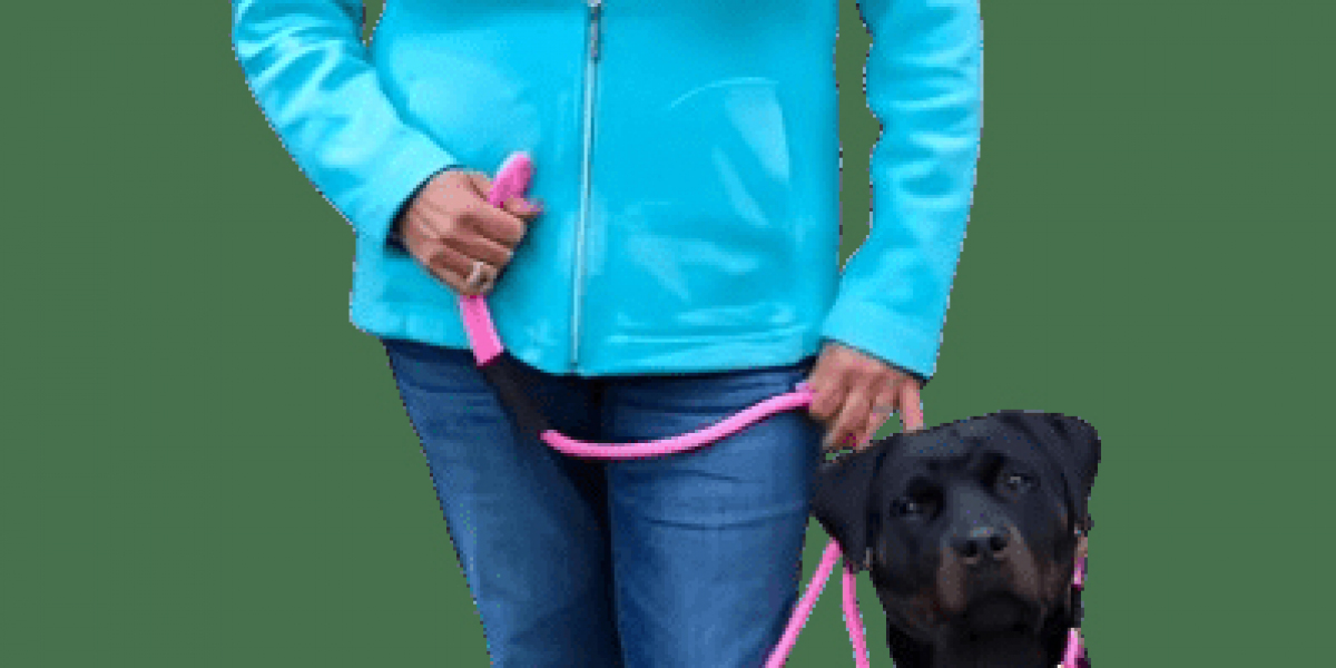 Hands-Free vs. Traditional Leashes: What’s Best?